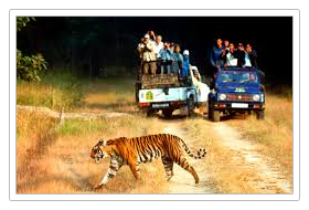 Jim Corbett National Park